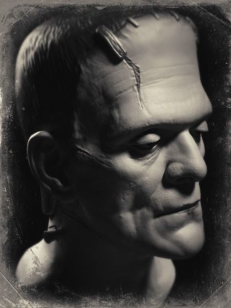 Boris Karloff Frankenstein, Horror Portrait, Micro Realism, Frankenstein Art, Monster Movies, Vintage Hollywood Glamour, Horror Movie Icons, Horror Artwork, Famous Monsters