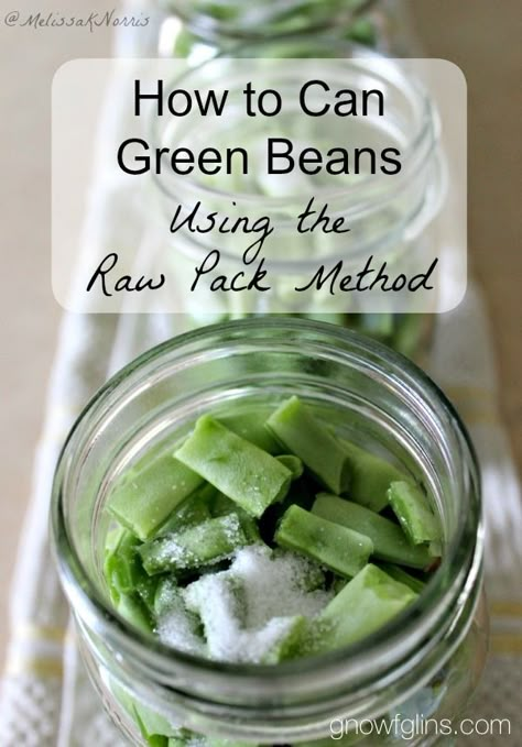 Gnowfglins | How to Pressure Can Green Beans (Raw Pack Method) | I'm all for saving time in the kitchen! No woman ever said, "I have way too much time on my hands these days." But in the interest of saving time, we can't sacrifice food safety. I consider some quick canning methods to be unsafe. Not the raw pack method, though -- it's both safe and time-saving. A win-win! | #prepbloggers #foodstorage #methods Pressure Can Green Beans, Canning Methods, Pressure Canning Green Beans, Canning Veggies, Canning Green Beans, Canning Fruit, Canning Vegetables, Can Green Beans, Canned Food Storage