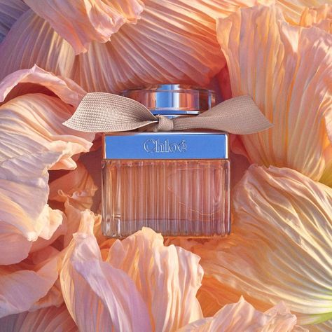 Chlo� Eau de Parfum - Chloe | Sephora Chloe Aesthetic Core, Chloe Brand Aesthetic, Chloe Perfume Aesthetic, Pub Parfum, Perfume Commercial, Chloe Fragrance, Chloe Parfum, Perfume Adverts, Chloe Brand