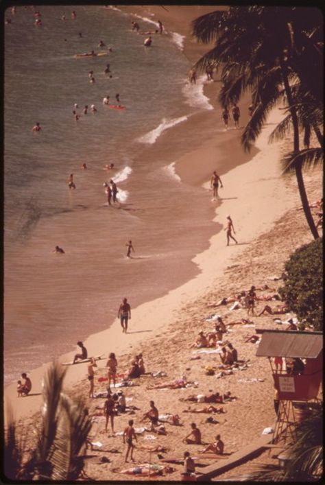 Photos Of Hawaii, Waikiki Beach, Spot On, Vintage Photos, Most Popular, The Beach, Hawaii, Water