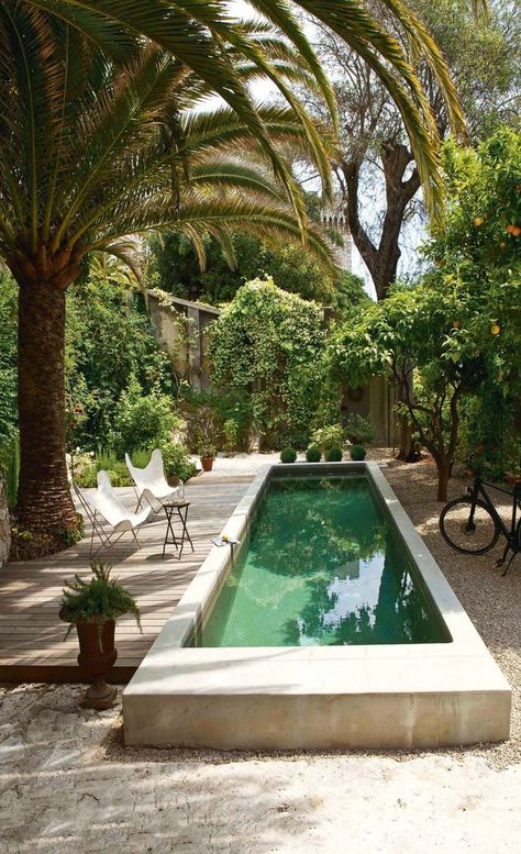 from Cote Maison Kleiner Pool Design, Piscina Interior, Contemporary Garden Design, Small Swimming Pools, Uk Garden, Small Pools, Garden Sheds, Dream Pools, Small Pool