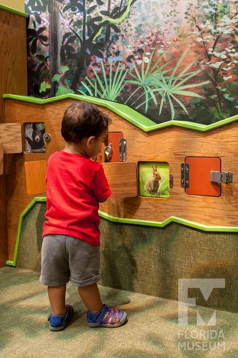 toddler opening up ‘windows’ in the Discovery zones tree to see photos of baby animals Childrens Museum Ideas, Childrens Museum Exhibits, Discovery Zone, Forest Mural, Animal Hide, Childrens Museum, Rain Garden, Nature Center, Museum Exhibition