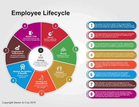 Diversity And Inclusion, Corporate Strategy, Executive Leadership, 21st Century Skills, Staff Training, Decision Making Process, Leadership Training, Recruitment Agencies, Learning And Development