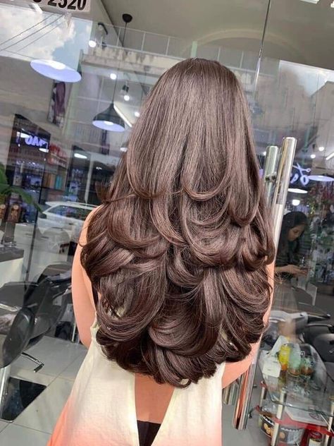 Indian Hair Cuts, Haircuts For Long Hair With Layers, Long Indian Hair, Hairstyles For Layered Hair, Long Layered Haircuts, Haircuts For Medium Hair, Haircuts Straight Hair, Hairdo For Long Hair, Hair Stylist Life