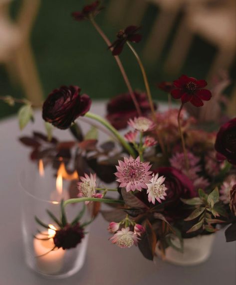 Plum Colored Flowers, Burgundy Bud Vase Centerpiece, Deep Red Flower Arrangements, Moody Jewel Tone Wedding Flowers, Purple Fall Wedding Centerpieces, Engagement Lunch, Wine Wedding Flowers, Deep Purple Wedding, Holiday Shoot