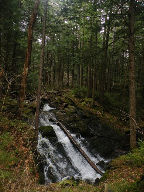 A Short History of Adirondack Trail Building – Adirondack Wilderness Advocates Adirondack High Peaks, Trail Building, The Adirondacks, Ski Trails, Adirondack Mountains, Lake Champlain, Wild Forest, Lake Placid, Old Farm