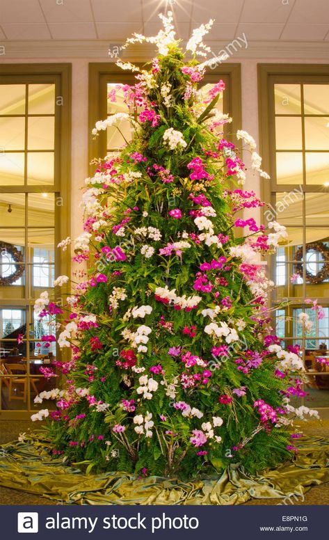 Download this stock image: This spectacular Christmas Tree is made of tropical plants including orchids, ferns and bromeliads. The tree stands at over 20 f - E8PN1G from Alamy's library of millions of high resolution stock photos, illustrations and vectors. Hawaiian Christmas Tree, Fun Christmas Party Ideas, Floral Christmas Tree, Christmas Tree Inspo, Bohemian Christmas, Silver Christmas Decorations, Hawaiian Christmas, Tree Stands, Tropical Christmas