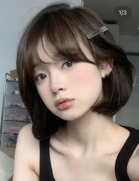 Short Bob With Bangs Thick Hair, Short Hair With Bangs Oval Face, Hime Bangs Short Hair, Cute Short Hairstyles For Short Hair, Hairstyle For Bob Cut, Short Hair Styles Asian, Medium Bob With Fringe, Japan Short Hair, Short Bob Cut With Bangs