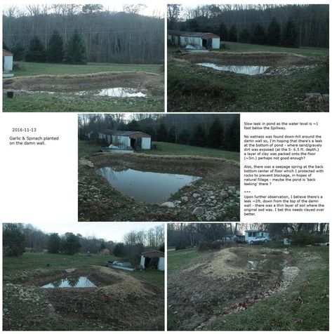 Pond-construction by hand Man Made Pond, Farm Pond Ideas Large, Digging A Pond, Large Ponds Farm, Large Man Made Pond, Wild Growth, Hampstead Ponds, Aquarium Store, Pond Construction