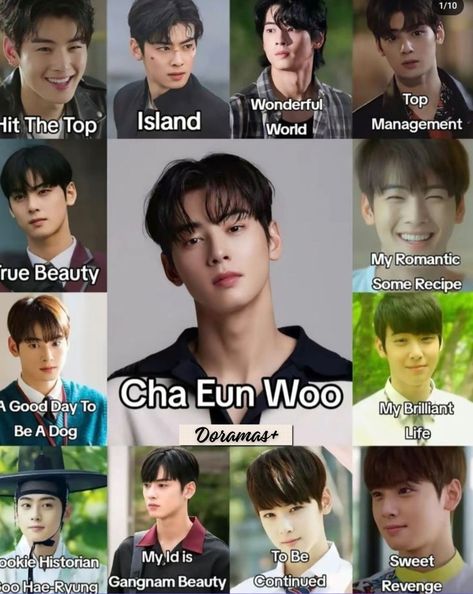 Cha Eun Woo Kdrama List, Cha Eun Woo Kdrama, New Korean Drama, Drama List, Korean Drama Series, New Movies To Watch, Korean Drama Funny, Kdrama Memes, Won Woo