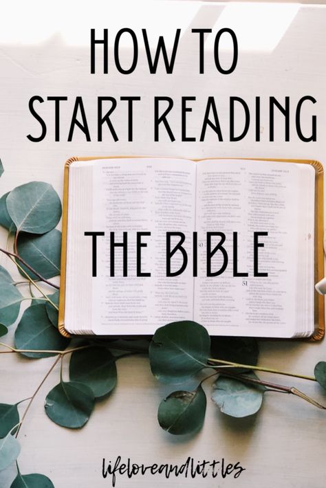 Ways To Read The Bible, Start Reading The Bible, Bible Tips, Bible Studies For Beginners, Learn The Bible, Reading The Bible, Study The Bible, Relationship With Jesus, Book Of Proverbs