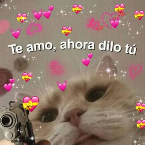 Te amo, ahora dilo tú Fancy Towels, Dreamcore Weirdcore, Plague Doctor, Cat Quotes, Instagram Funny, Love Stickers, Funny Me, Naruto, Funny Pictures