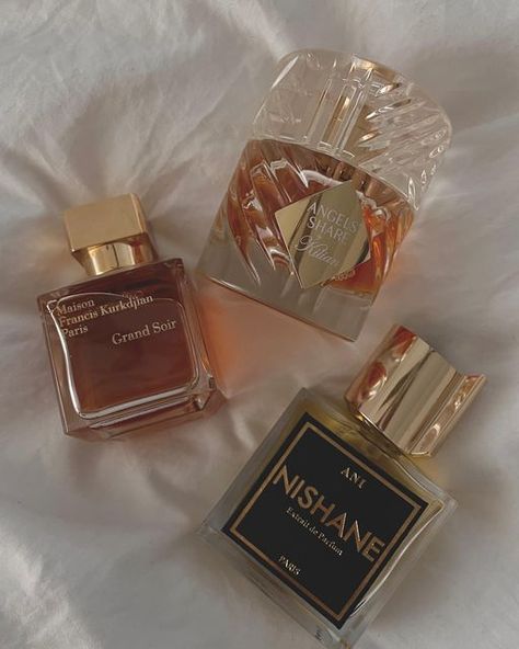 apollonia 💸 | fragrance reviews on Instagram: "my favorite holiday layering combo ✨ start w @maisonfranciskurkdjian GRAND SOIR as your base, add some spice w @nishane.official ANI, and then add a little bit of holiday sweetness w @kilianparis ANGELS’ SHARE. just spray until it feels right. 😌 — 🏷️ #perfume #perfumes #perfumelovers #perfumecollection #fraghead #fragrance #fragrances #fragrancecollection #fragrancelover #fragcomm #luxurylifestyle #perfumelayering" Grand Soir Perfume, Nishane Perfume, Perfume Combinations, Vanilla Scented Products, Good Perfumes, Perfume Collection Display, Perfume Combos, Fragrance Layering, Angels Share