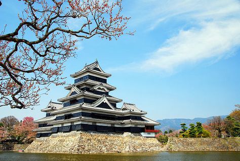 Kumamoto Castle is considered one of the three premier castles in Japan, along with Himeji Castle and Matsumoto Castle Kumamoto Castle, Kyushu Japan, Himeji Castle, Japan Picture, Japanese Castle, Kumamoto, Kyushu, Japanese Culture, Nature Scenes