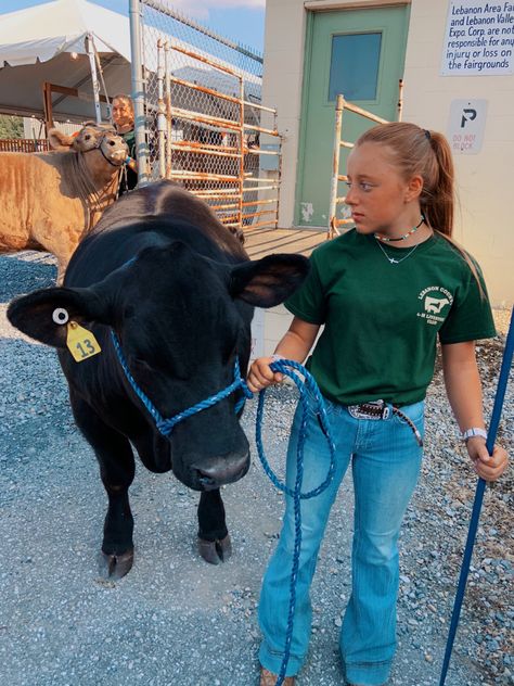 Cattle Showing Outfits, Showing Cattle Outfits, Showing Hairstyles Livestock, Show Outfits Livestock, Livestock Show Hairstyles, Cattle Show Outfits, Cattle Aesthetic, Ffa Aesthetic, Stock Show Outfits