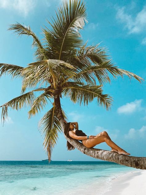 Palm Tree Poses Beaches, Beach Tree Poses, Photo With Palm Tree, Palm Tree Photoshoot Ideas, Palm Tree Pictures Poses, Poses With Palm Trees, Palm Tree Photo Ideas, Palm Tree Picture Ideas, Island Photoshoot Ideas