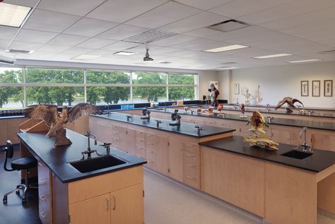 Science lab School Lab Aesthetic, School Science Lab Aesthetic, School Biology Lab Design, School Chemistry Lab, Highschool Design, University Laboratory Design, Private School Science Lab, Aesthetic University, University Housing