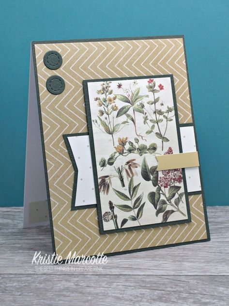 Kristie Marcotte, Paper Birds, Best Things In Life, Card Layouts, Making Greeting Cards, Designer Paper, Fancy Fold Cards, Card Patterns, Card Sketches