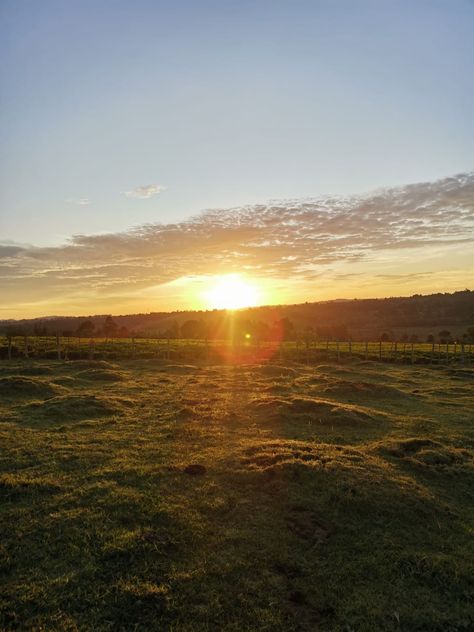 Sun setting on the horizon on a green land