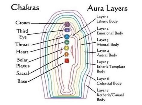 The 7 Layers of Your Aura - Forever Conscious Aura Layers, Aura Colors Meaning, Aura Reading, Pranic Healing, Etheric Body, The Chakras, Tattoos Geometric, Spiritual Healer, Aura Colors