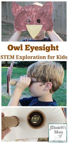 Owl Eyesight - STEM Exploration for Kids - You can build the viewer for you children or have them built it themselves. Nocturnal Animals Activities, Owl Preschool, Baby Activities 1 Year, Owl Activities, Steam Ideas, Preschool Stem, Owl Mask, Baby Activities, Steam Activities