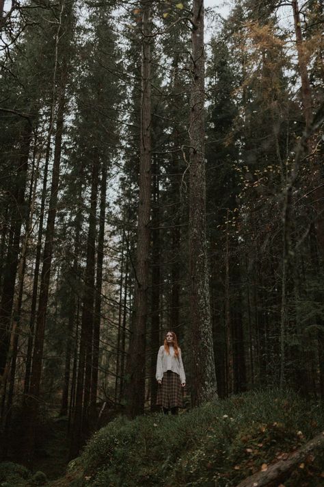 Redwood Forest Photoshoot, Scotland Moodboard, Photoshoot In Park, Winter Portraits, Outdoor Portrait, Scotland Wedding, Nature Photoshoot, Moody Photography, Woods Photography