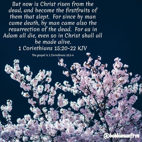 #bible #verse #corinthians #faith #resurrection #christ #quotes #kjv #kingjames Jesus Resurrection Bible Verses, Bible Verse About Jesus Resurrection, Resurrection Verses, John 14:15 Kjv, Proverbs 22:4 Kjv, Proverbs 28:13 Kjv, He Is Alive, He Is Risen, Scripture Quotes