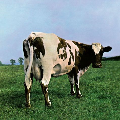 Atom Heart Mother (2011 Remastered Version) by  Pink Floyd on Spotify Mother Pink Floyd, Pink Floyd Record, Pink Floyd Vinyl, Pink Floyd Album Covers, Storm Thorgerson, Atom Heart Mother, Pink Floyd Music, Pink Floyd Albums, H.r. Giger