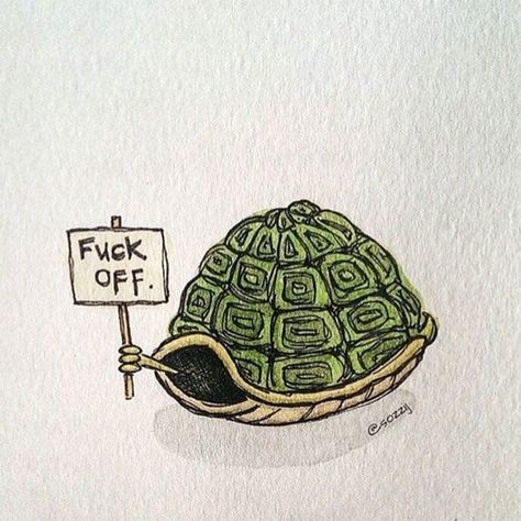 Turtle Quotes, Tortoise Drawing, Turtle Drawing, Turtles Funny, 4 Tattoo, Tortoise Turtle, Turtle Tattoo, Turtle Love, Spirit Animals