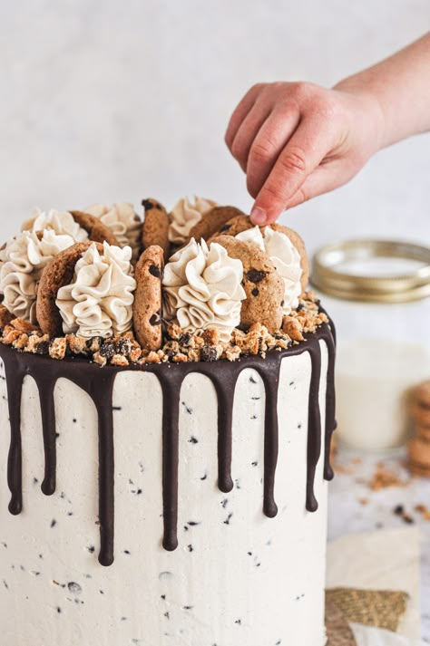 Chocolate Chip Cookie Cake Recipe, Basic Vanilla Cake Recipe, Dairy Free Chocolate Chip Cookies, Chocolate Chip Frosting, Gluten Free Vanilla Cake, Dairy Free Cake, Chocolate Chip Cookie Cake, Chocolate Chip Cake, Perfect Chocolate Chip Cookies