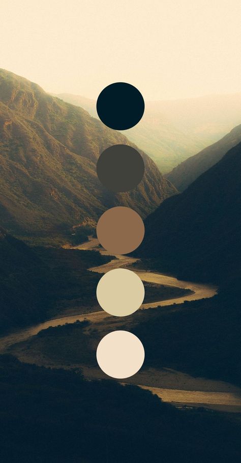 Manly Color Pallet, Dark Nature Color Palette, Color Pallets With Black, Luxury Brand Palette, Gym Color Palette, Gym Color Scheme, Monotone Color Palette, Nordic Color Palette, Black White Color Palette