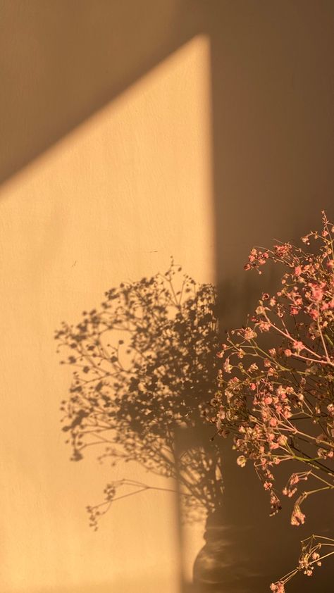 #shadow Window Shadow, Flower Window, Aesthetic Light, Boho Wallpaper, Simple Phone Wallpapers, Dark Nature Aesthetic, Shadow Pictures, Pretty Landscapes