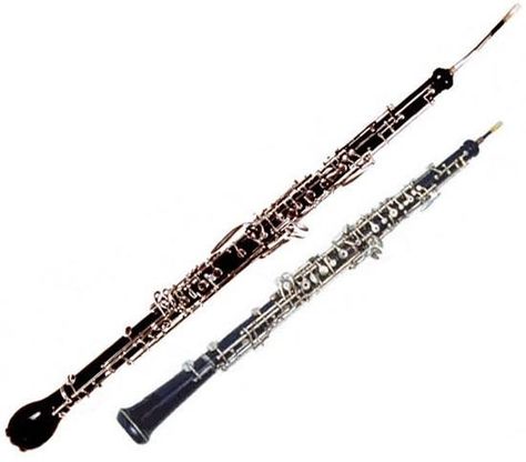 English Horn, Woodwind Instruments, Milk N Cookies, Oboe, The English, Horn, Opera, Seattle, Hair Accessories