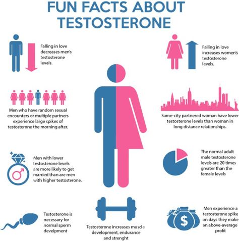 fun facts about testosterone lols :) Testosterone Booster Men, Libido Boost For Men, Prostate Health Men, Libido Boost, Salford City, Sunburn Relief, Boost Testosterone, Testosterone Booster, Testosterone Levels