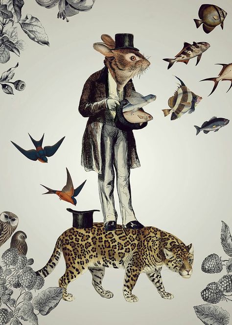 Surreal Collage Art, Exquisite Corpse, Toile Wallpaper, Surreal World, Arte Peculiar, Human And Animal, Anthropomorphic Animals, Fairy Tales For Kids, Wallpaper Project