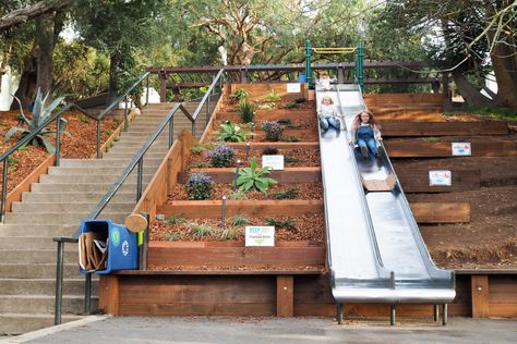 7 Most Epic Playground Slides in the Bay Area Playground Slides, Abandoned Mansion For Sale, City Playground, Terrace Building, Playground Slide, Cool Slides, Landscape Designer, Natural Playground, Golden Gate Park