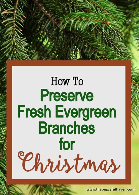 Tree Branches Decor, Branches Decor, Christmas Tree Branches, Natural Christmas, Christmas Greenery, Pine Needles, Christmas Wreaths Diy, Diy Christmas Tree, Christmas Deco