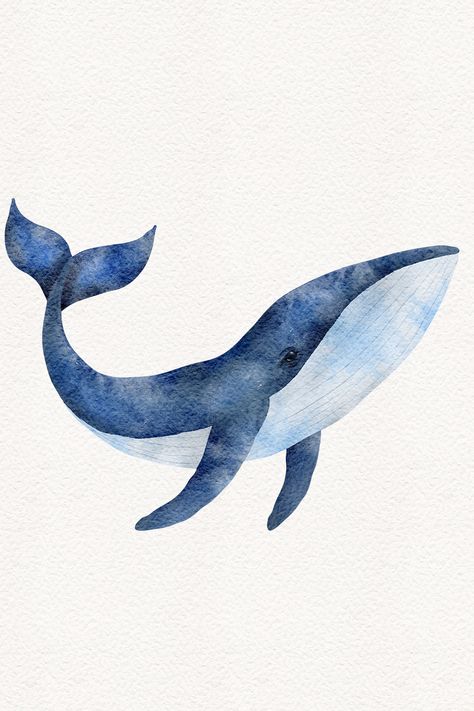 Watercolor blue whale illustration, hand-painted ocean animal isolated on white background Ocean Animal Watercolor Art, Drawings With Blue Background, Watercolour Ocean Animals, Humpback Whale Drawing Simple, Watercolor Painting Sea, Blue Fish Painting, Watercolor Art Ocean Animals, Blue Animals Drawing, Simple Sea Drawing