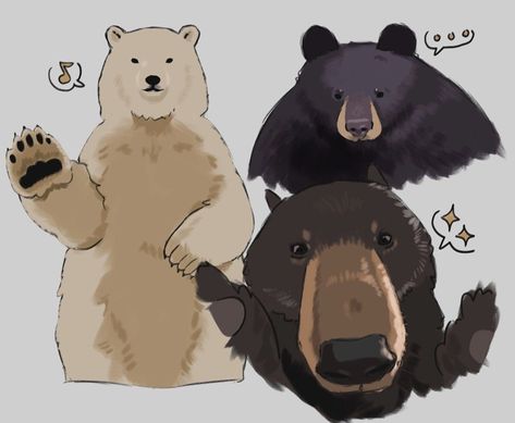 Brave 2012, Swag Art, Bear Art, Art Block, Art Inspiration Drawing, Funky Art, Cute Little Animals, 귀여운 동물, Pretty Art