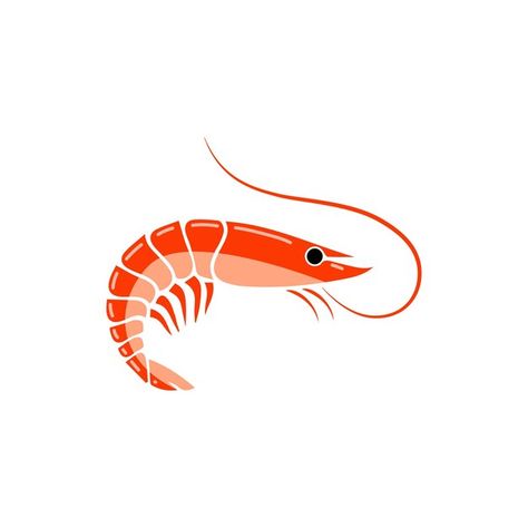 Cute fresh sea shrimp isolated on white ... | Premium Vector #Freepik #vector #seafood-restaurant #shrimp #seafood #sea-food Shrimp Clipart, Shrimp Design, Sea Food Logo, Seafood Illustration, Shrimp Illustrations, Crispy Shrimp, Dried Shrimp, Heart Logo, Logo Food