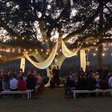 Tree Lanterns Wedding, Tree Draping Wedding, Wedding Under Oak Tree, Golden Hour Wedding Ceremony, Wedding Under Willow Tree, Wedding Ceremony Under Tree, Wedding Under Tree, Wedding Under Trees, Under Oak Tree