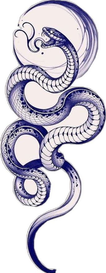 Black Snake Tattoo, Cobra Tattoo, Serpent Tattoo, Snake Drawing, Snake Tattoos, Snake Tattoo Design, Sketch Tattoo Design, Snake Art, Tattoo Desings