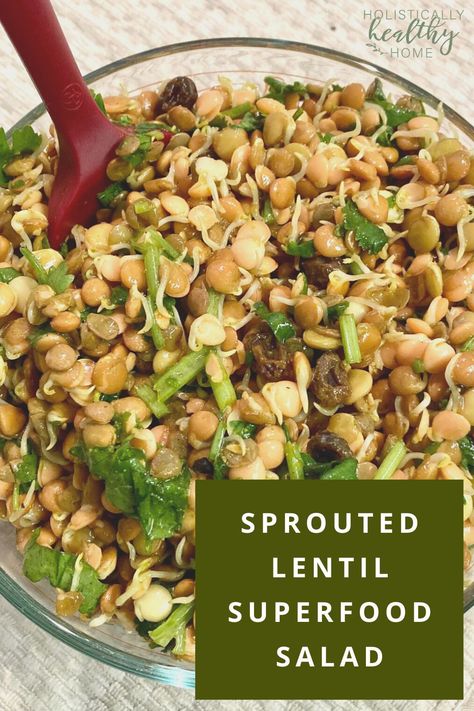 Superfood Salad Recipe, Sprouted Lentils, Microgreens Recipe, Superfood Salad, Sprouts Salad, Superfood Recipes, Sprout Recipes, Summer Side Dishes, Lentil Salad