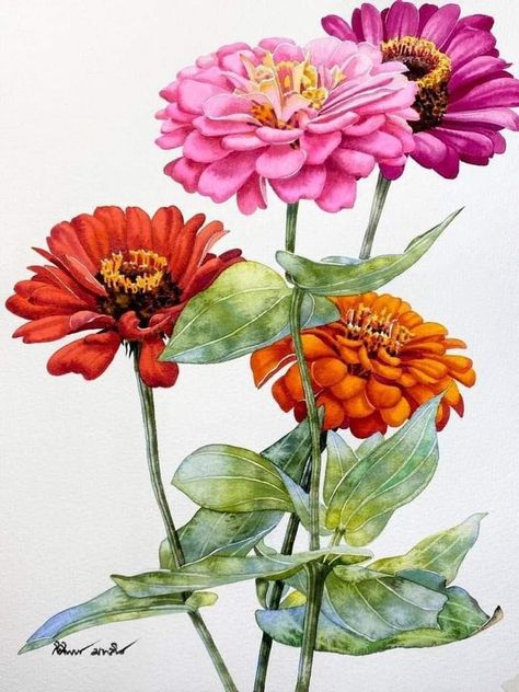 Zinnia Drawing, Best Feminine Tattoos, Zinnia Flowers, Folk Art Flowers, Diy Watercolor Painting, Art Painting Gallery, Watercolor Flower Art, Watercolor Art Lessons, Watercolor Paintings Tutorials