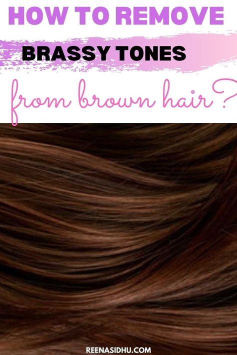 How To Remove Brassy Tones From Brown Hair. It’s been a few weeks since your last visit to the salon, and you’ve noticed some brassy undertones in your brown locks. So, what exactly do you do? Remove Brassiness From Hair Diy, How To Get Brassy Out Of Brown Hair, How To Remove Brassy Tones From Hair, Toner For Brassy Hair Brunettes, Lightening Dark Brown Hair, Toning Brassy Hair Brunettes, Brown Hair Without Red Tones, Toning Brown Hair, Toning Orange Brassy Hair