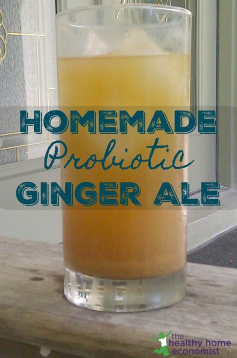 Traditional Homemade Ginger Ale Recipe | The Healthy Home Economist Probiotics Benefits, Ginger Ale Recipe, Drink Board, Homemade Ginger Ale, Easy Drinks To Make, Ale Recipe, Fruit Health, Homemade Soda, Probiotic Drinks