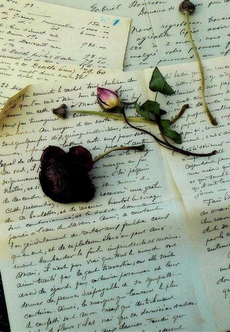 Love Letter ...♥♥... Flower Power, Online Shop, Roses, Lingerie, Tumblr, Photography