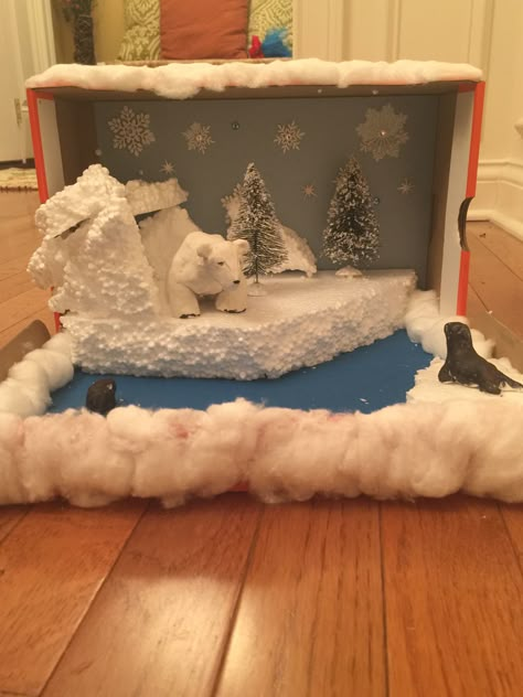 Polar bear diorama Bear Habitat Diorama, Polar Bear Diorama, Bear Diorama, Polar Bear Habitat, Shoe Box Diorama, Habitat Diorama, Rainforest Crafts, Arctic Habitat, Biomes Project