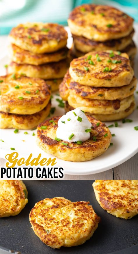 Pan-Fried Potato Cake Recipe - Golden, crispy mashed potato cakes are easy to pan fry to perfection in just minutes! Load them with your favorite toppings and enjoy as an appetizer or snack, or for a hearty breakfast. #potatocake #friedpotatocakes #mashedpotatocakes #howtomakemashedpotatocakes #friedmashedpotatoes #aspicyperspective Potato Meals, Fried Potato Cakes, Potato Cake Recipe, Fried Mashed Potatoes, Food Savoury, Pan Fried Potatoes, Potato Cakes Recipe, Mashed Potato Cakes, Potato Balls