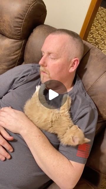 Pubity on Instagram: "Look at them at the end! 🤣  (Stephanie Smith via Viralhog)  - #kittens #kittens #cat #dad #pubity" Kitten Dancing, Catnip Cat, Silly Kittens Funny, Peeping Cat, Mad Cats, Cute Kitty Videos, Cute Kitten Videos, Kitty Videos, Cats And Kittens Videos